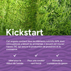MRS Seeds & Mixtures Kickstart - Engrais pour gazon de printemps | 20 kg - 500 m² [fr]
