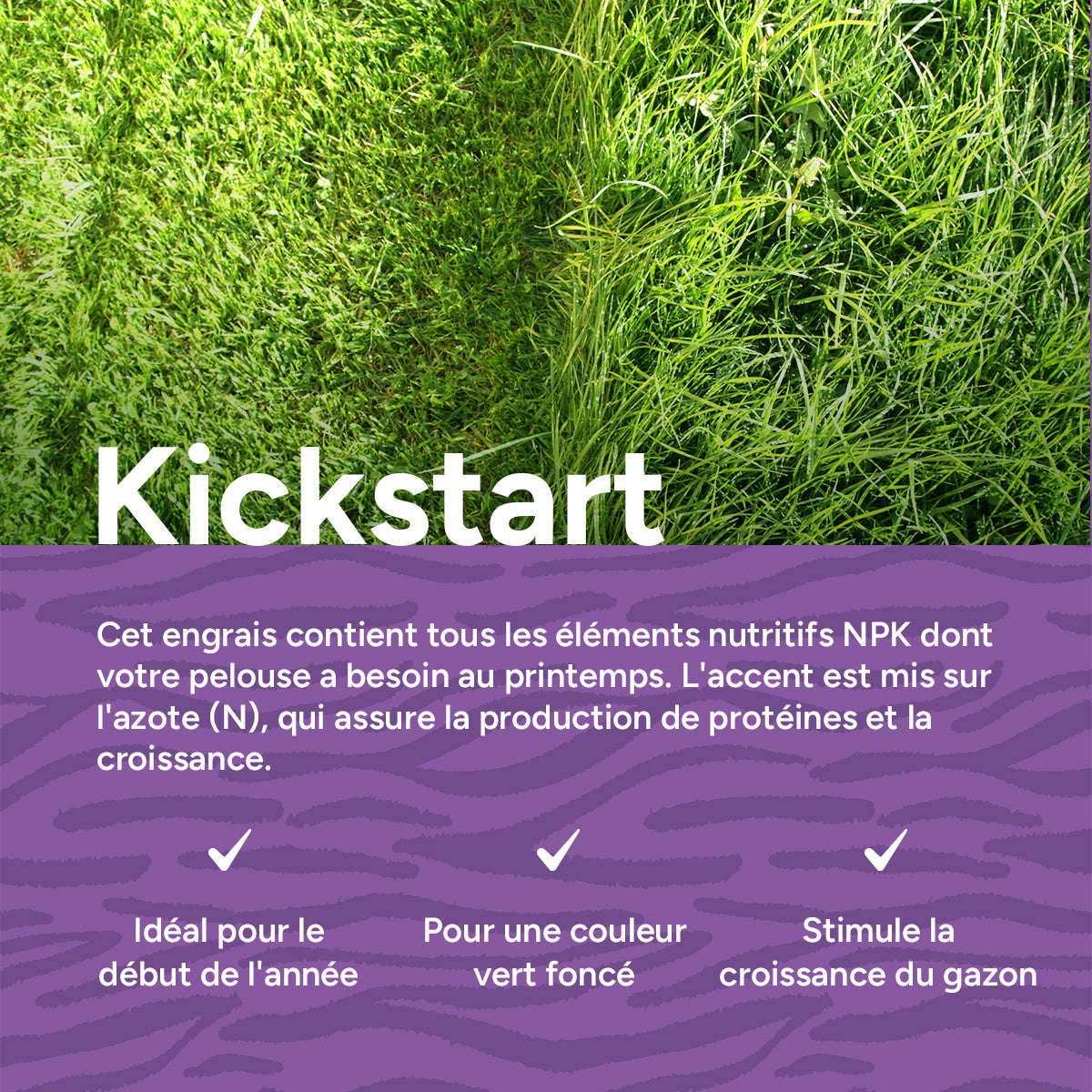 MRS Seeds & Mixtures Kickstart - Engrais pour gazon de printemps | 20 kg - 500 m² [fr]