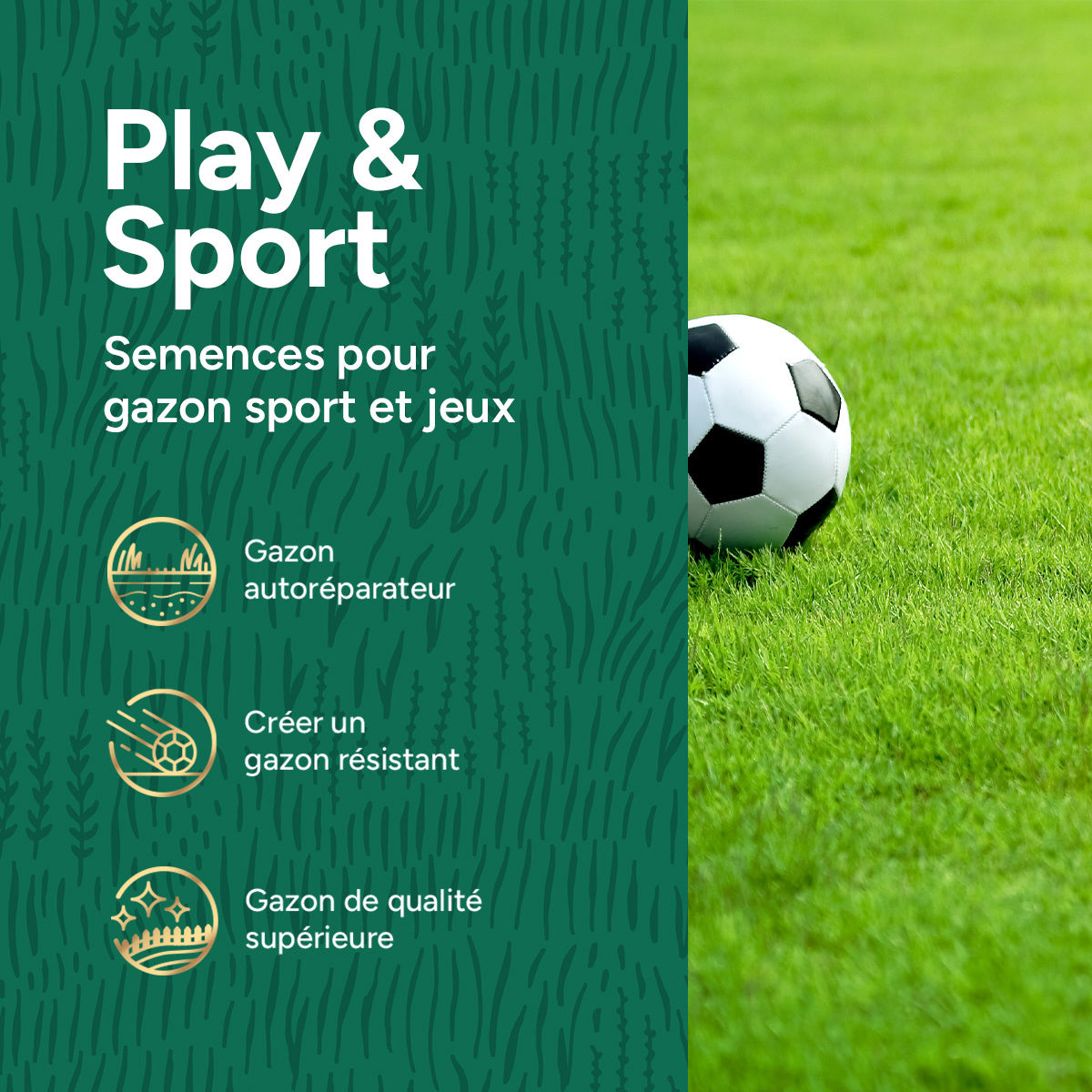 MRS Seeds & Mixtures Play & Sport - Semences de gazon sport et jeux 10 kg [fr]
