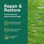 MRS Seeds & Mixtures Repair & Restore - Semence gazon réparation 10 kg [fr]