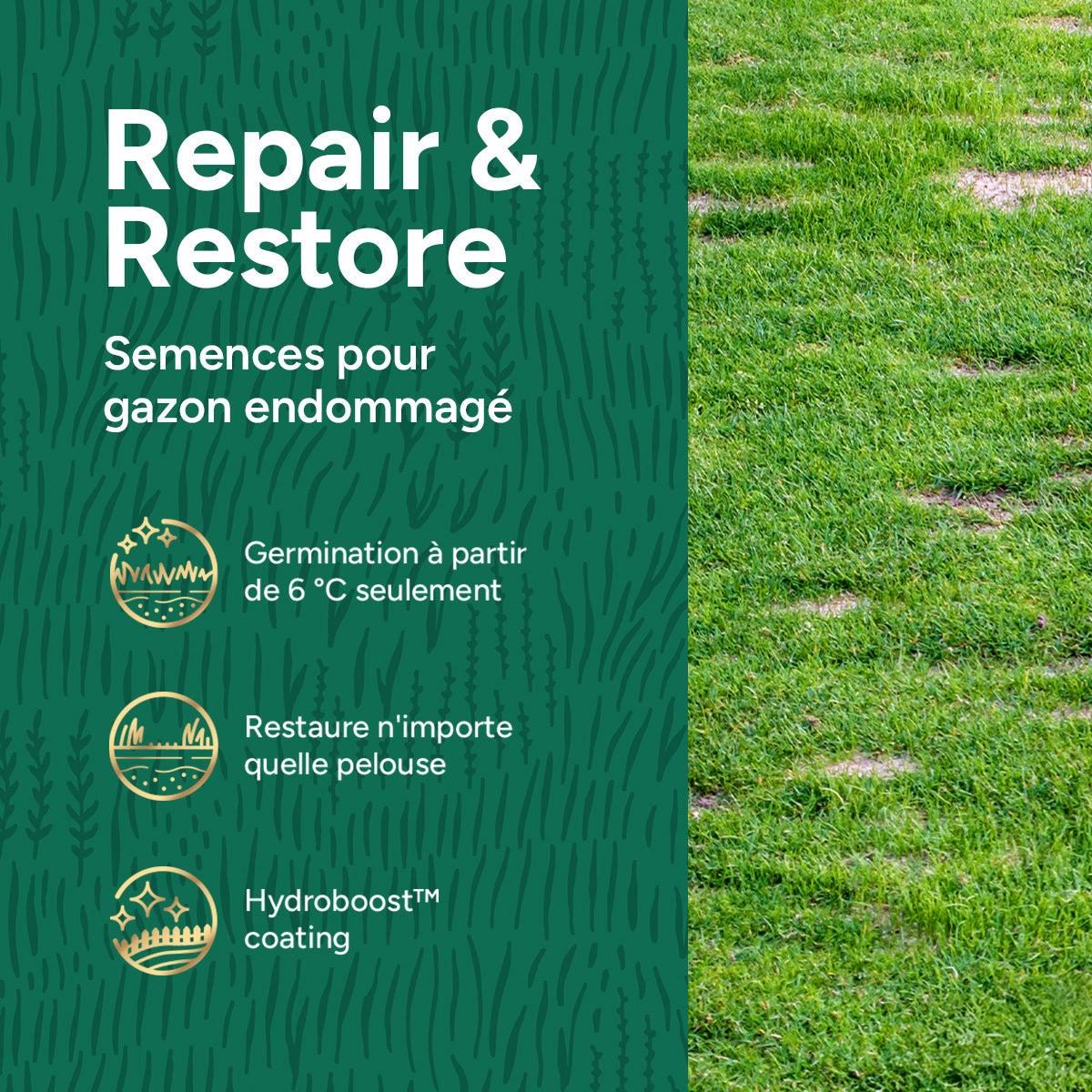 MRS Seeds & Mixtures Repair & Restore - Semence gazon réparation 10 kg [fr]