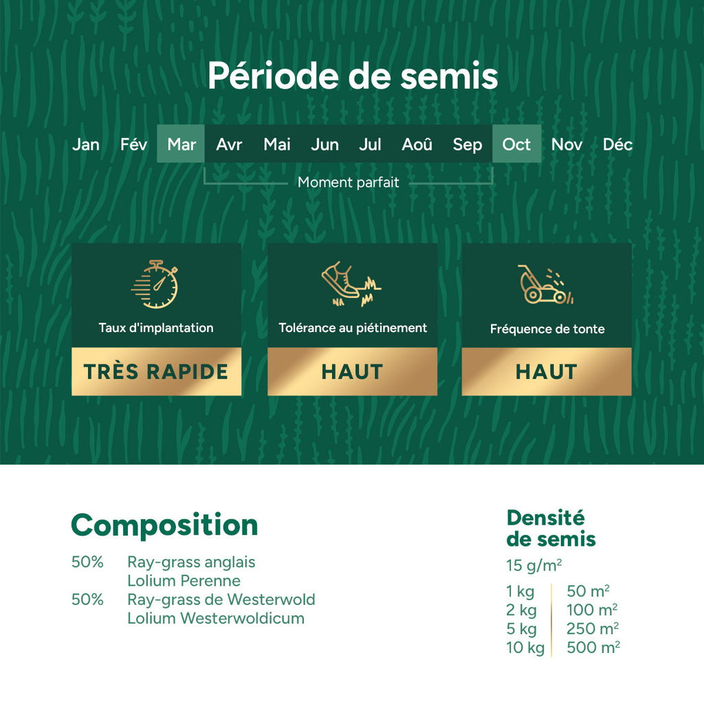 MRS Seeds & Mixtures Repair & Restore - Semence gazon réparation 10 kg [fr]