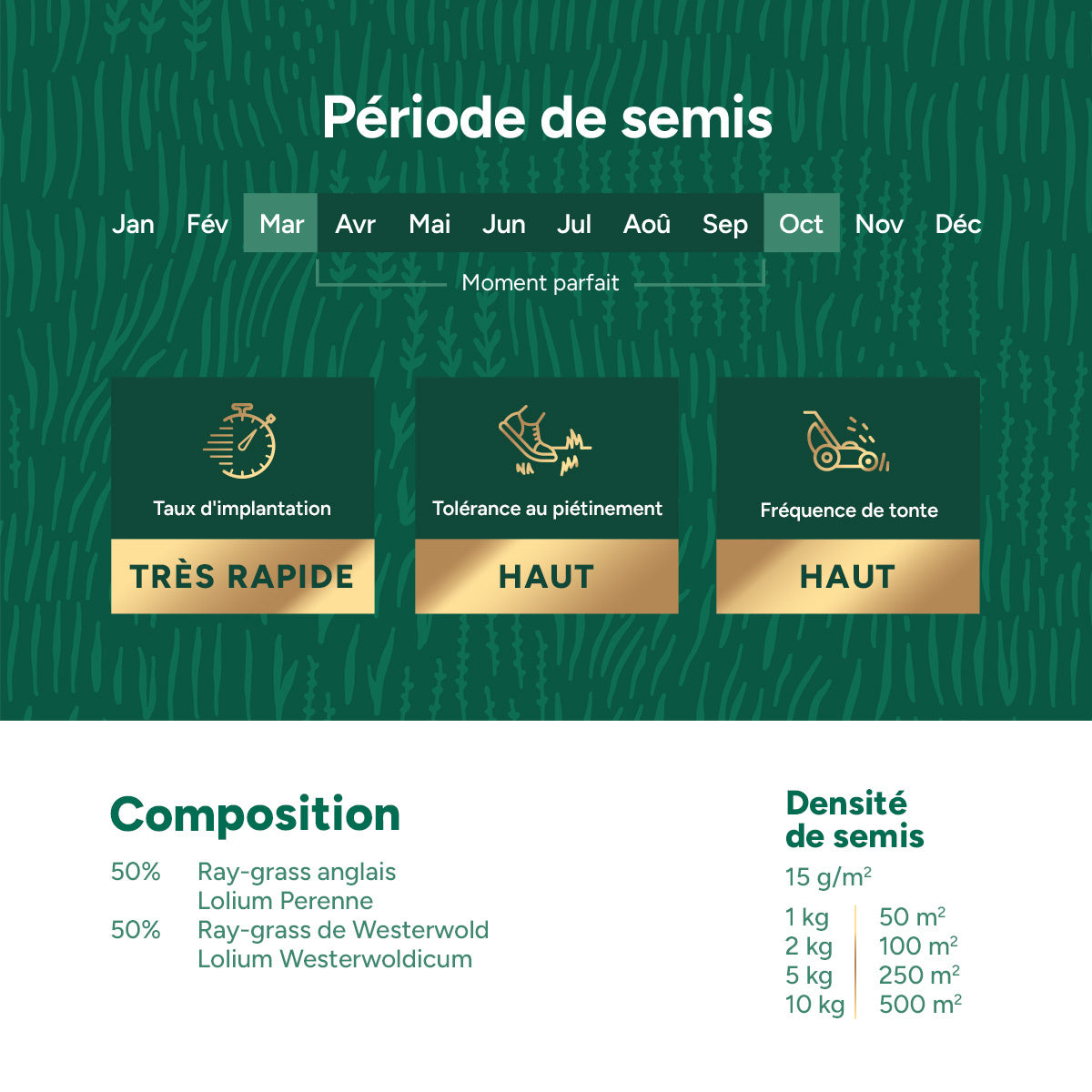 MRS Seeds & Mixtures Repair & Restore - Semence gazon réparation 10 kg [fr]