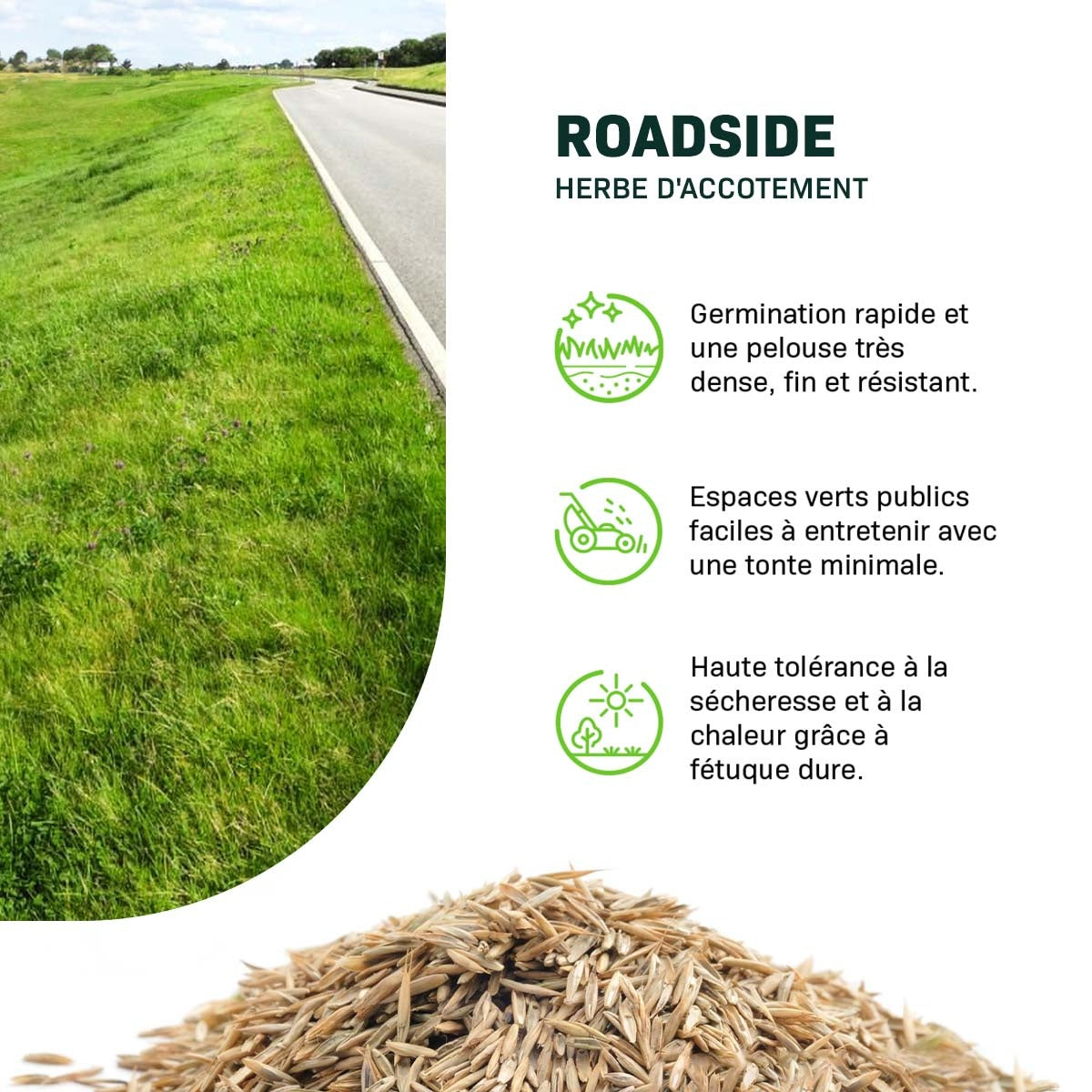 MRS Seeds & Mixtures Roadside - Accotements 3 | Semence professionnelle 15KG [fr]