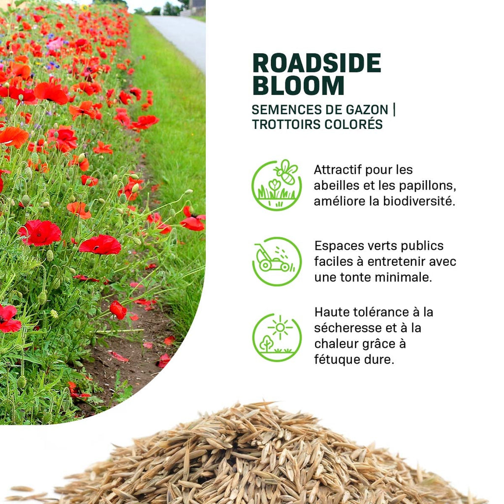 MRS Seeds & Mixtures Roadside Bloom - Semences de Gazon [fr]