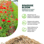 MRS Seeds & Mixtures Roadside Bloom - Semences de Gazon [fr]