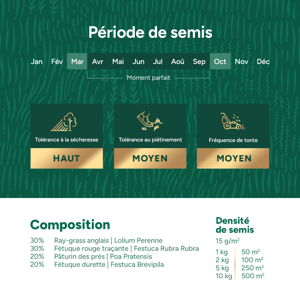 MRS Seeds & Mixtures Shade & Sun - Semence Gazon Ombre 10 kg [fr]