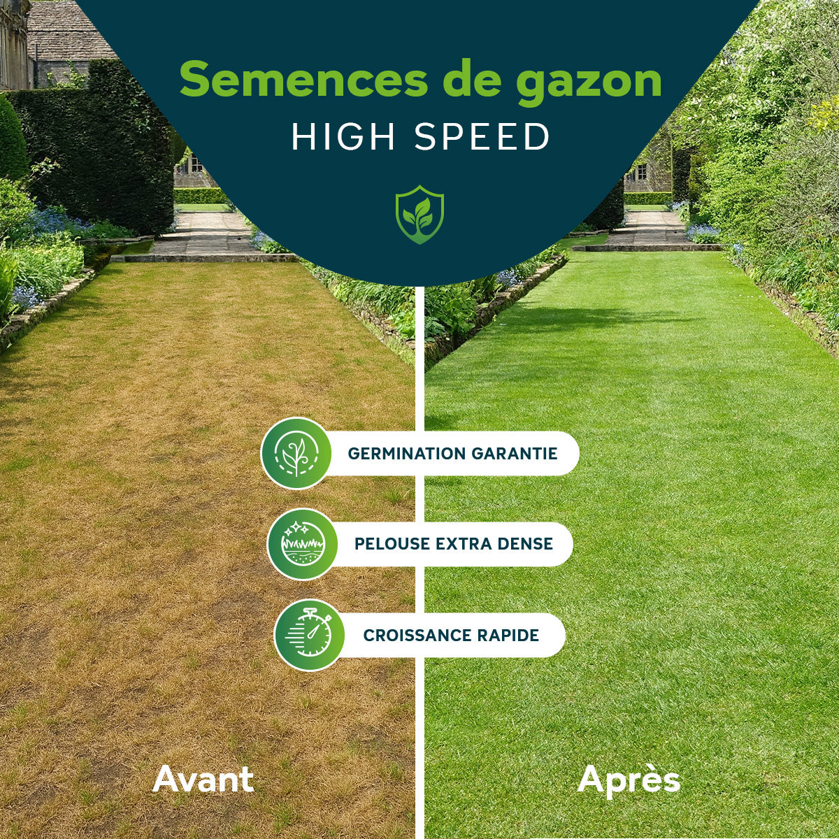Sowgood Semences de gazon pour sport et jeux 10 kg - 500 m² [fr]