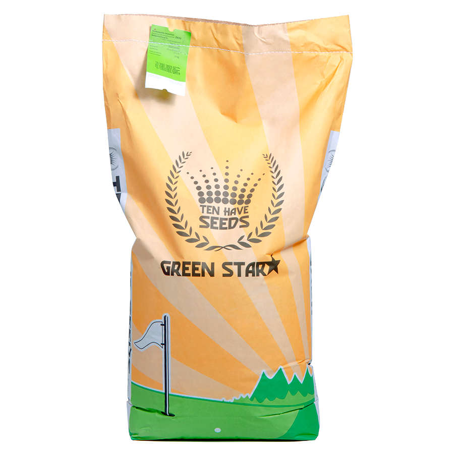 Green Star Terrain de sport (SV100)